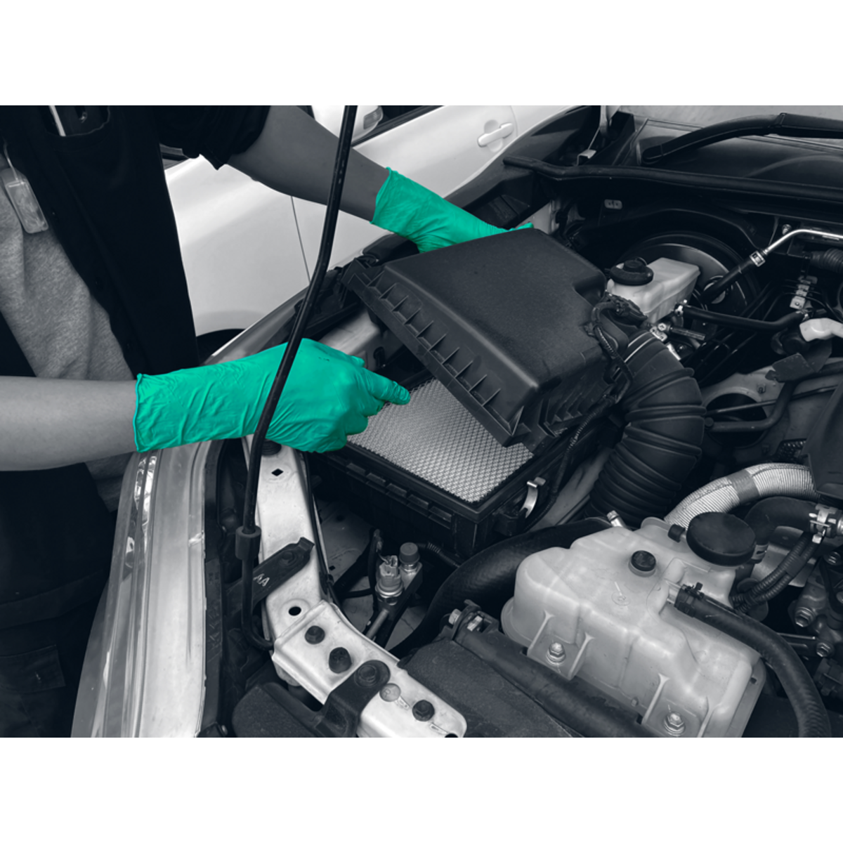 PRO.TECT GREEN HD+