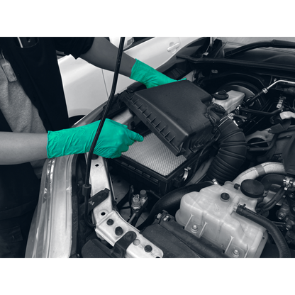 PRO.TECT GREEN HD+